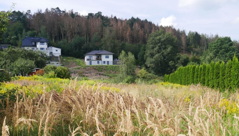 eggehaus holzhaus lage 07